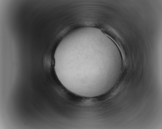 X0000099980072200806131408