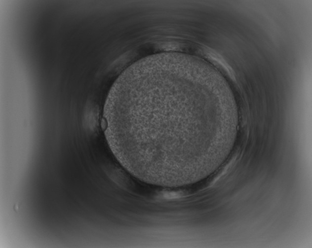 X0000099980073200806131408