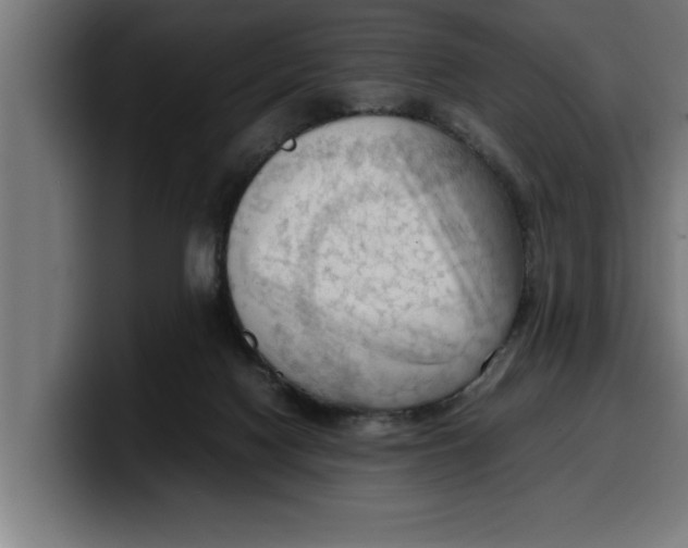 X0000099980074200806131408