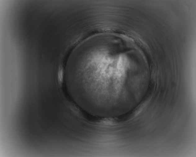 X0000099980076200806131408