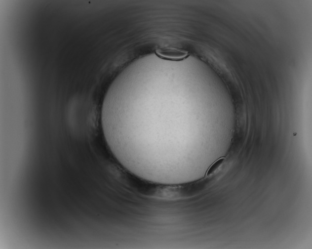 X0000099980078200806131408