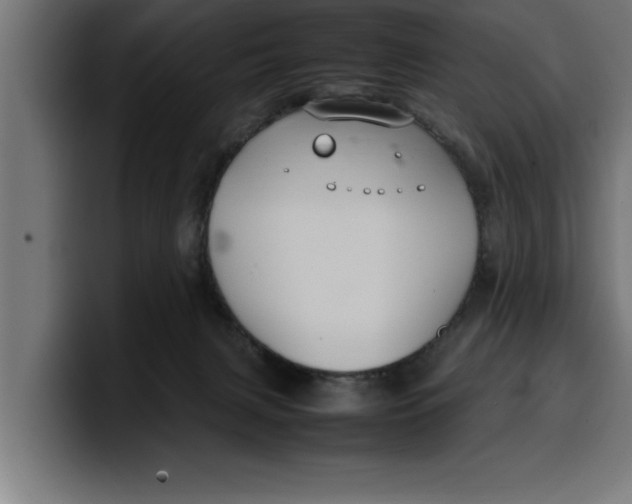 X0000099980079200806131408