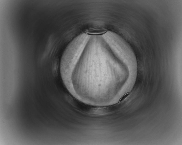 X0000099980082200806131408