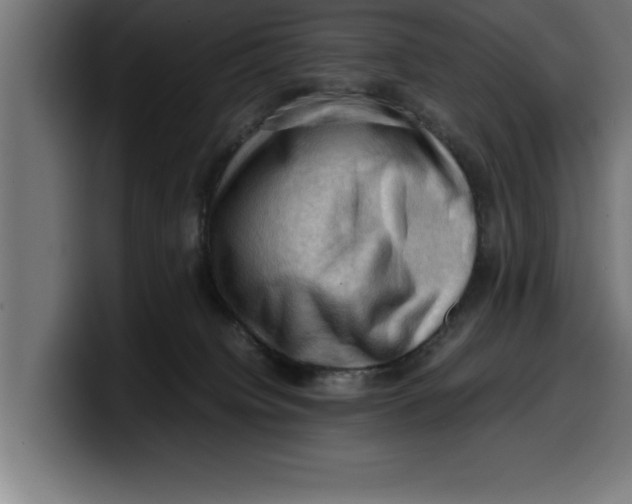 X0000099980084200806131408