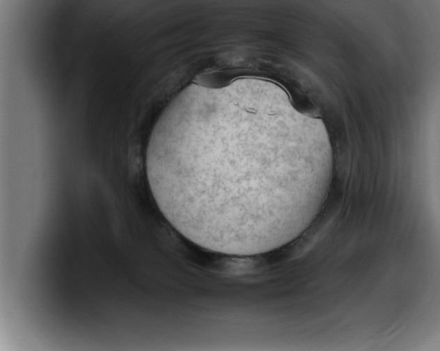 X0000099980085200806131408