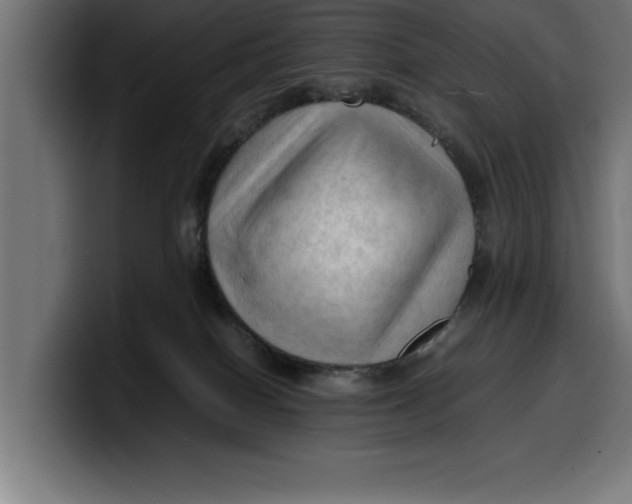 X0000099980086200806131408