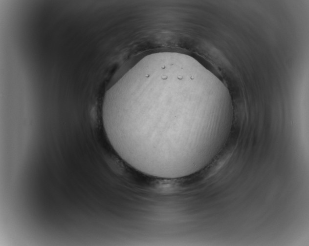 X0000099980088200806131408