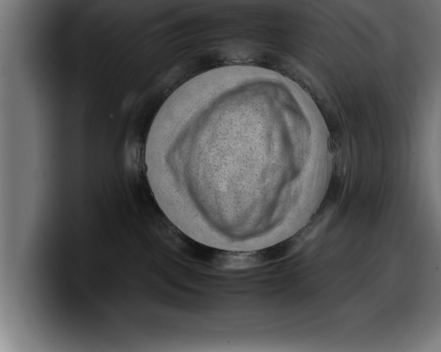 X0000099980093200806131408