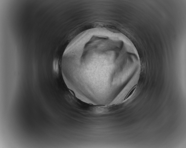 X0000099980094200806131408