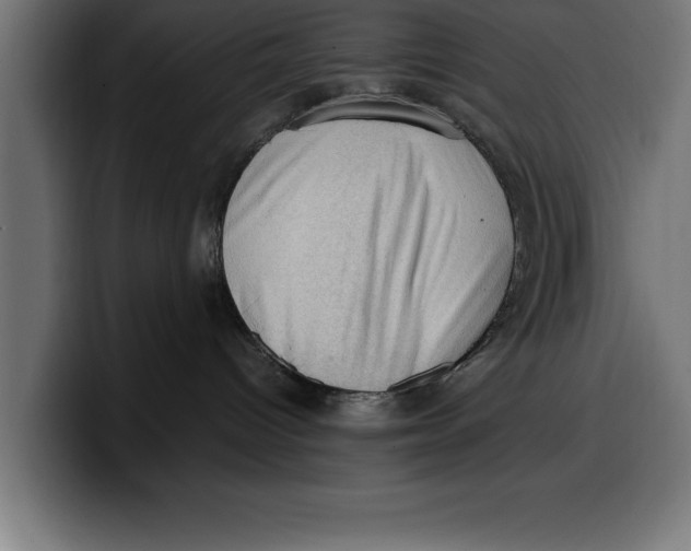 X0000099980096200806131408