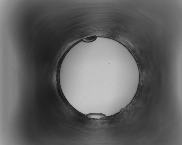 X0000099980098200806131408