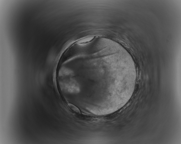 X0000099980099200806131408