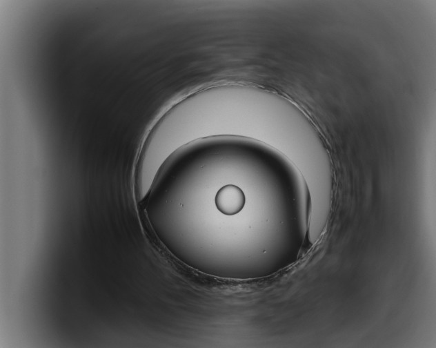 X0000099980100200806131407