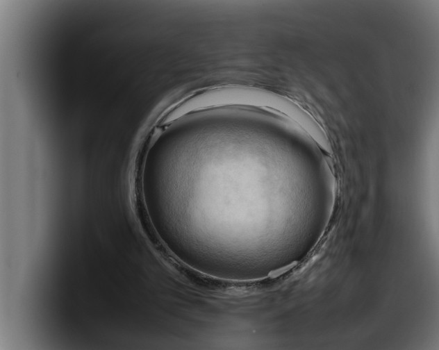 X0000099980101200806131407