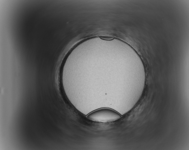 X0000099980103200806131407