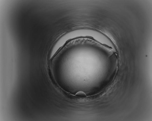 X0000099980105200806131407