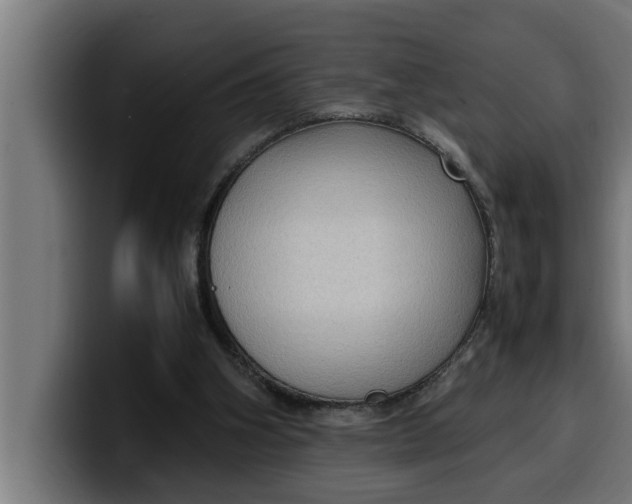 X0000099980106200806131407