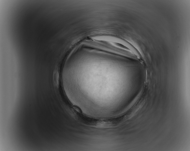 X0000099980109200806131407