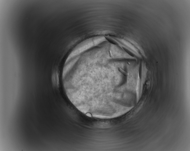 X0000099980110200806131407