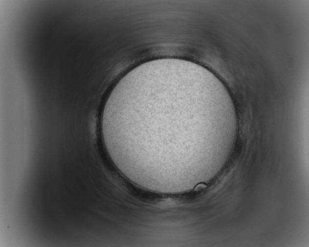 X0000099980111200806131407