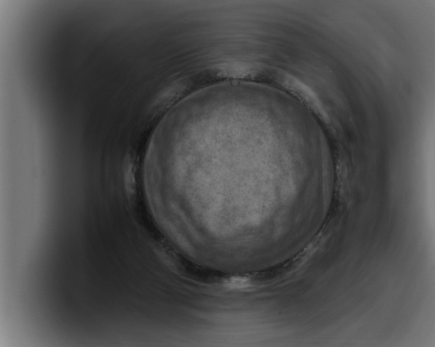 X0000099980114200806131407