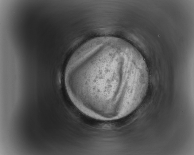 X0000099980115200806131407