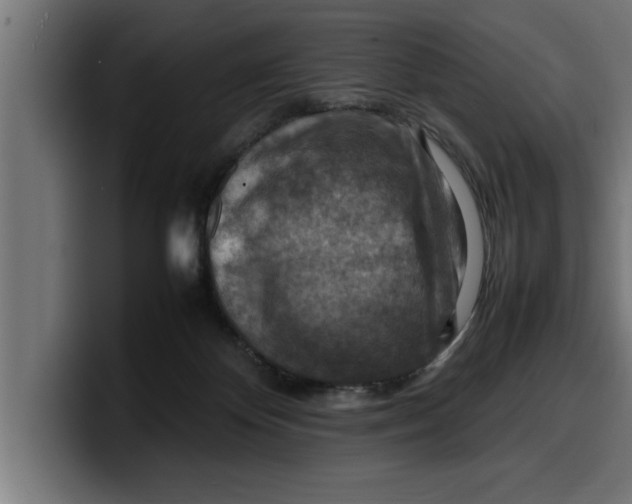 X0000099980124200806131407