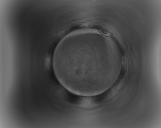 X0000099980127200806131407