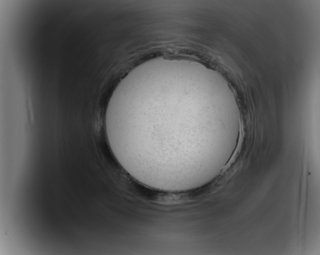 X0000099980129200806131407