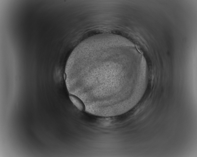 X0000099980131200806131407