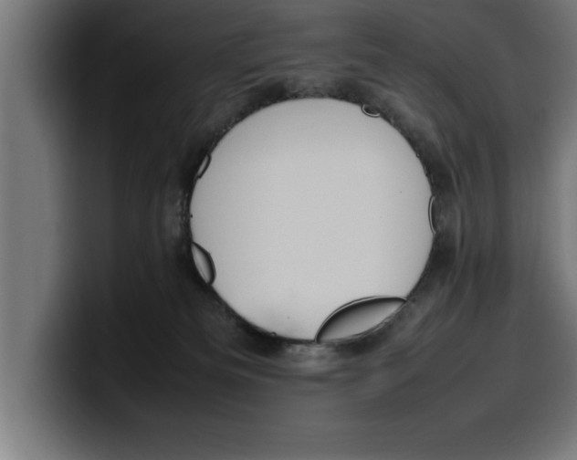 X0000099980133200806131407