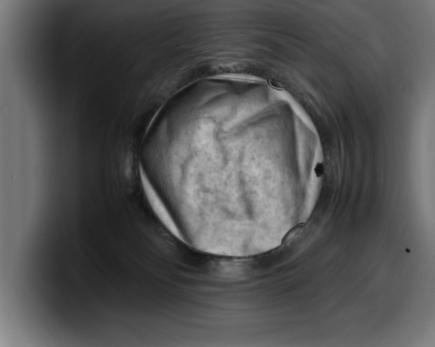 X0000099980134200806131407