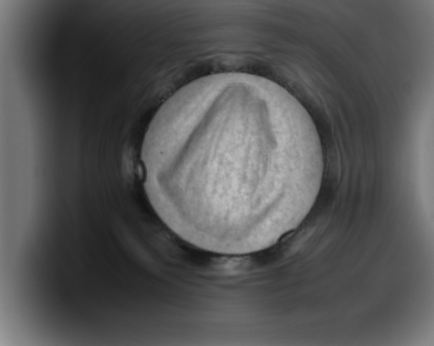 X0000099980135200806131407