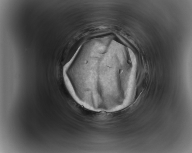 X0000099980136200806131407