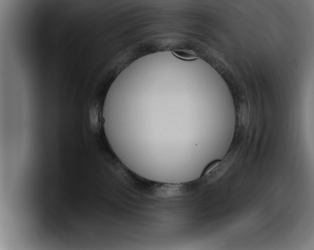 X0000099980138200806131407