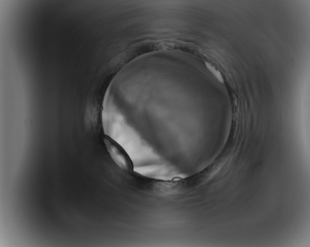 X0000099980139200806131407