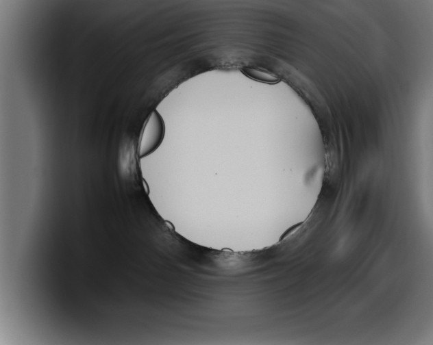 X0000099980142200806131407