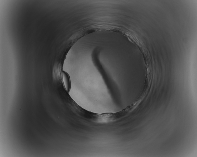 X0000099980143200806131407