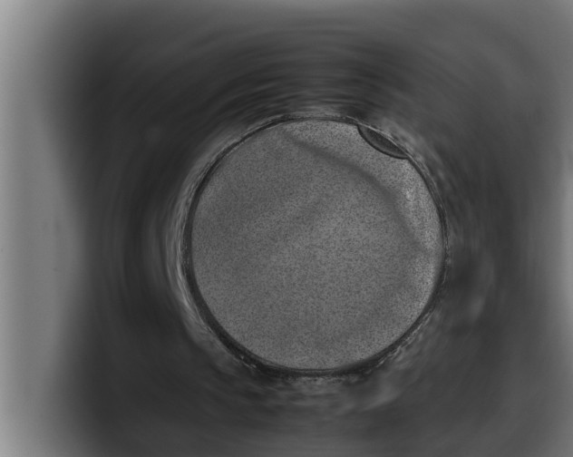 X0000099980145200806131406