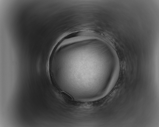 X0000099980148200806131406