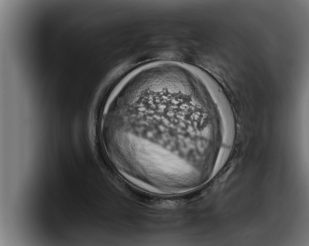 X0000099980149200806131406