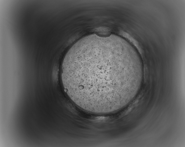 X0000099980153200806131406