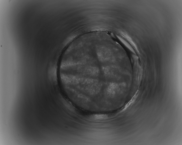 X0000099980154200806131406