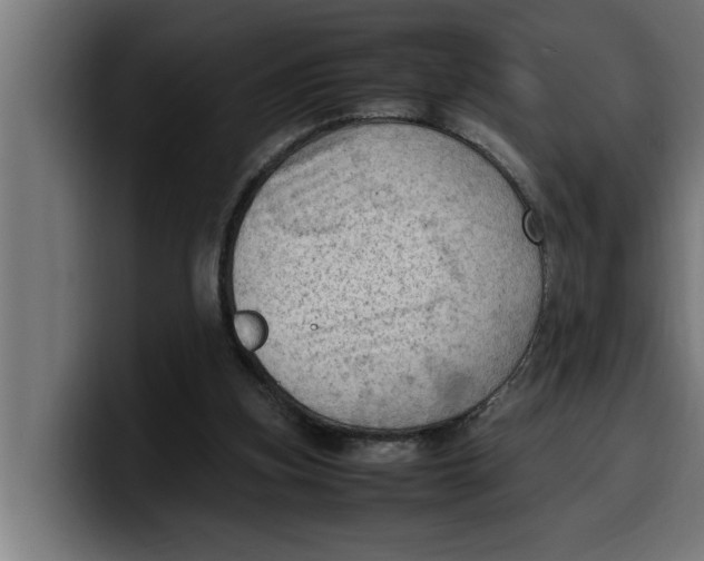 X0000099980155200806131406