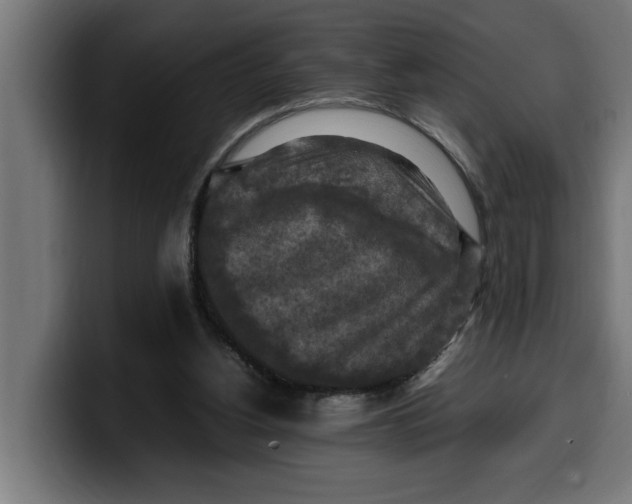 X0000099980156200806131406