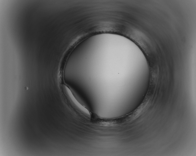 X0000099980160200806131406