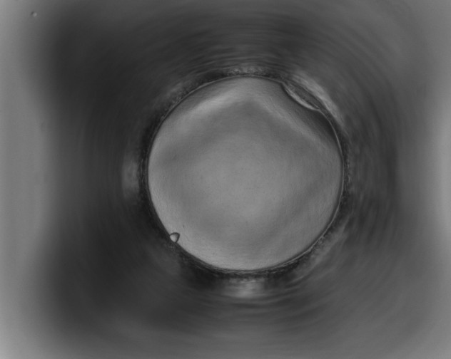 X0000099980161200806131406