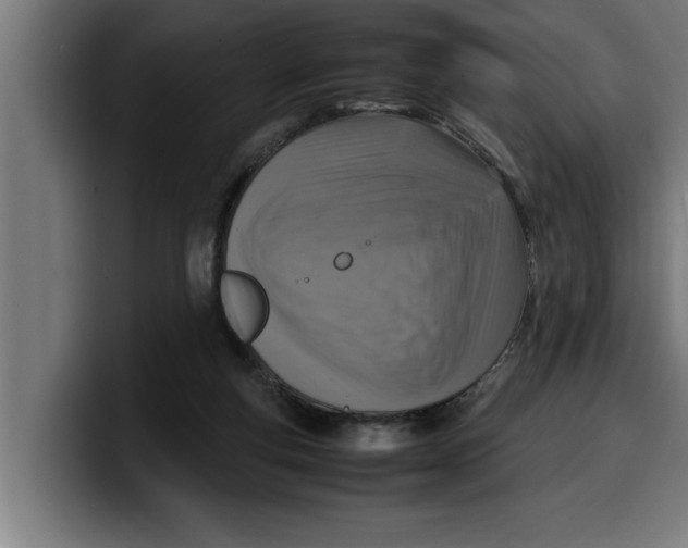 X0000099980163200806131406