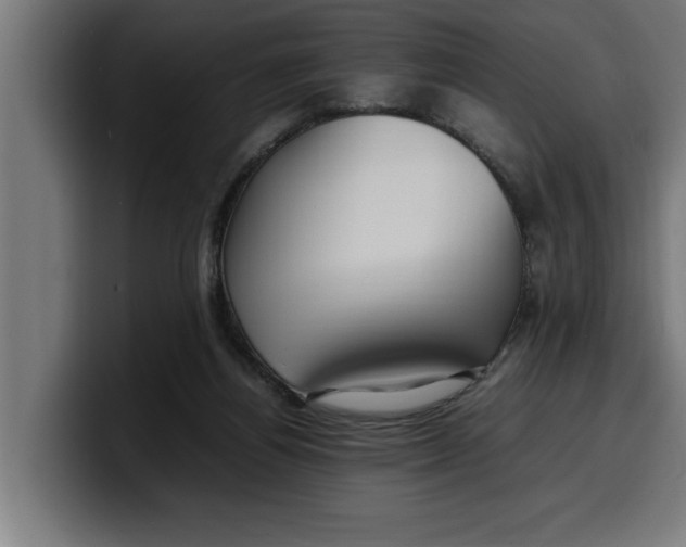 X0000099980164200806131406