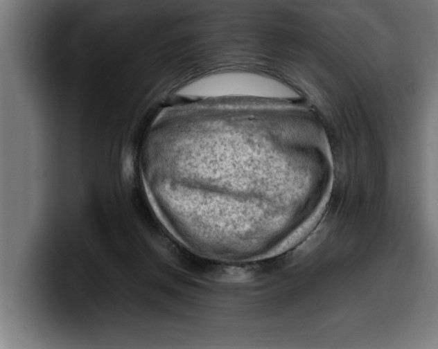 X0000099980166200806131407